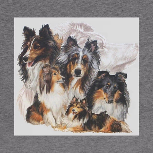 Obedient Shetland Sheepdog Grouping by BarbBarcikKeith